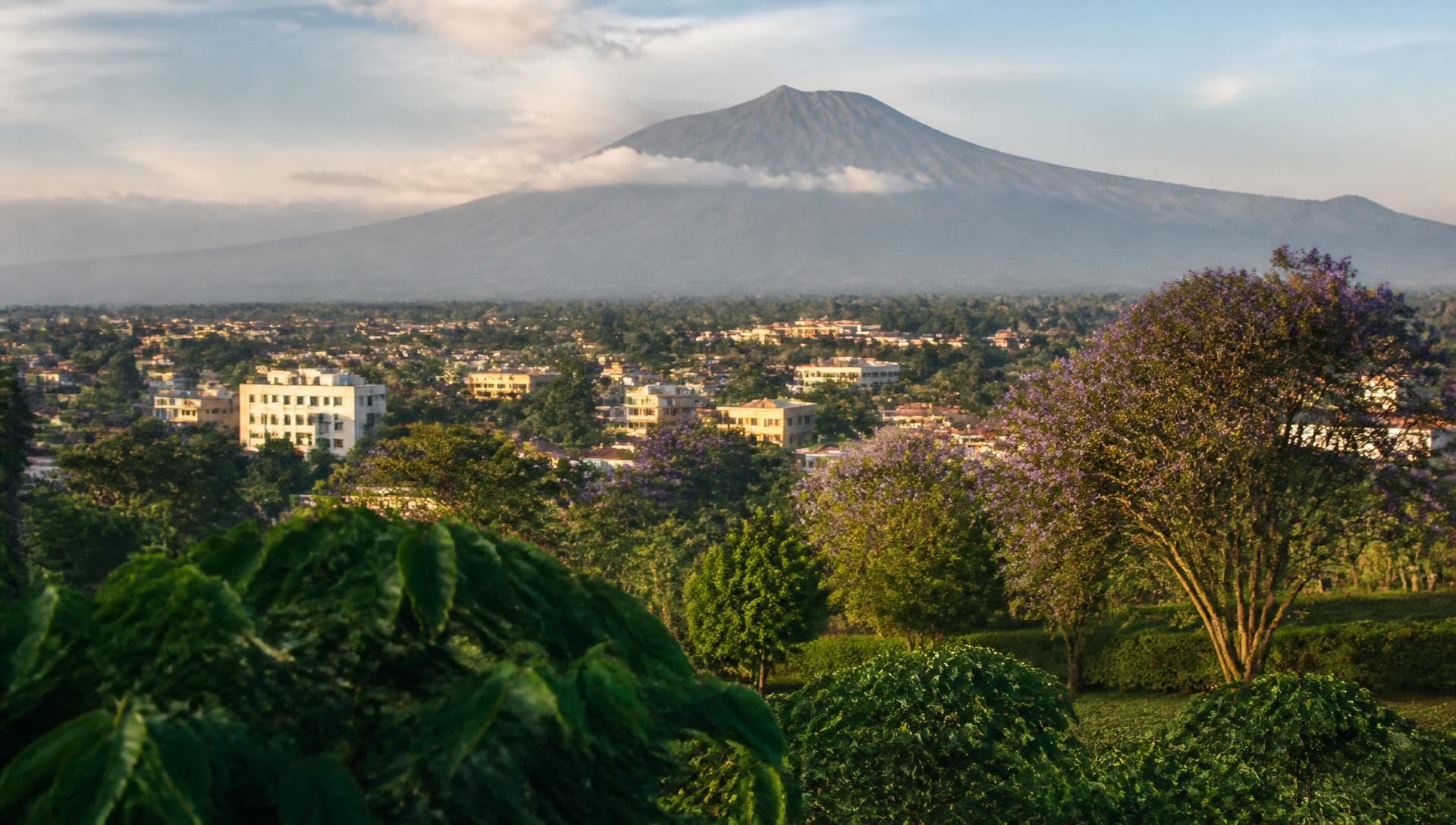 Snow-capped mountain summit above a green, tree-covered town at dusk