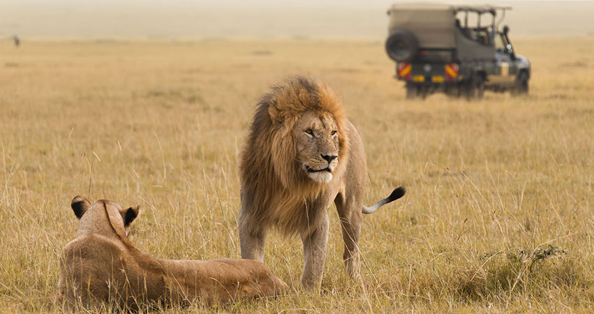 3 Days Kenya budget safari Maasai Mara
