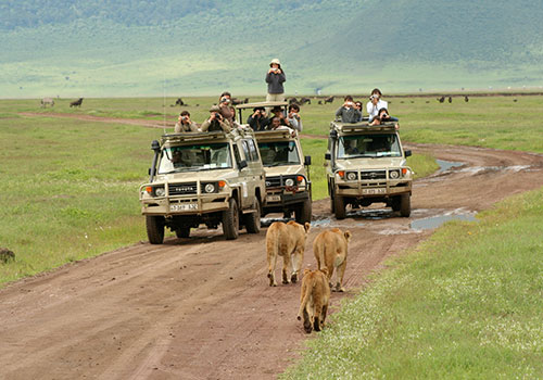 4 Days Lake Manyara National Park / Ngorongoro / Conservation Area