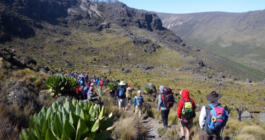 6 Days Mount Kenya Climbing Adventure - Sirimon Route Down Chogoria Route
