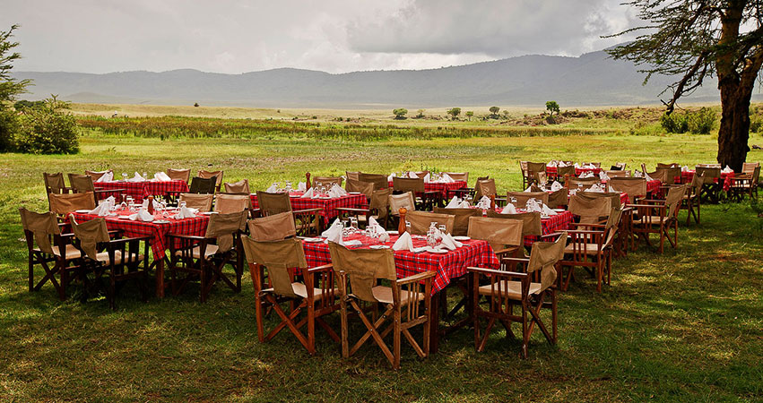 7 Days Kenya Lodge Safari Masai Mara / Lake Nakuru / Lake Naivasha / Amboseli National Park