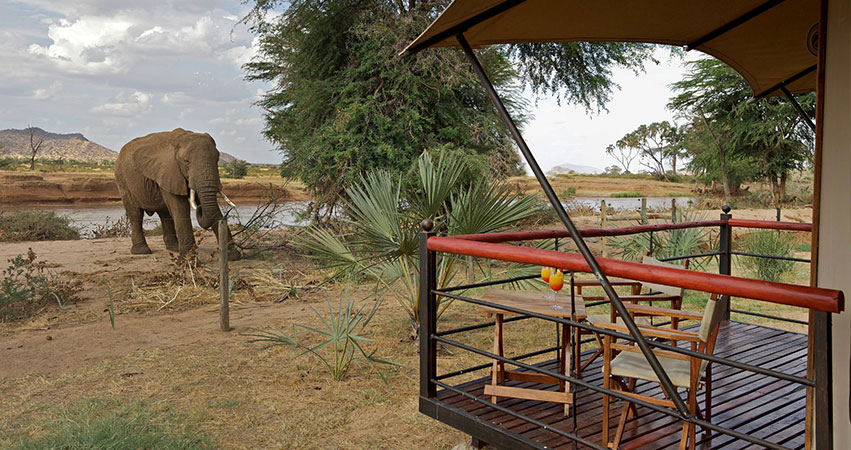 8 Days Kenya Lodge Safari Samburu / Mt.Kenya / Lake Nakuru / Masai Mara
