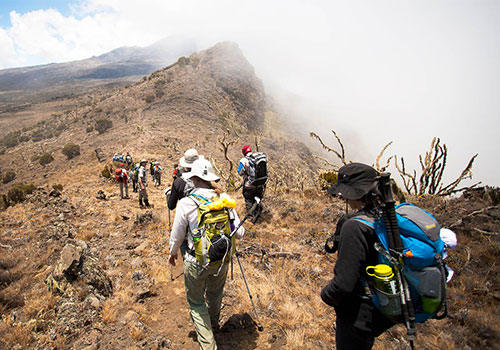 8 Days Mount Kilimanjaro Climb - Lemosho Route